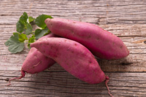 【おいしい野菜の選び方】サツマイモ-旬や栄養、保存方法などこれさえ読めば野菜の情報丸分かり！